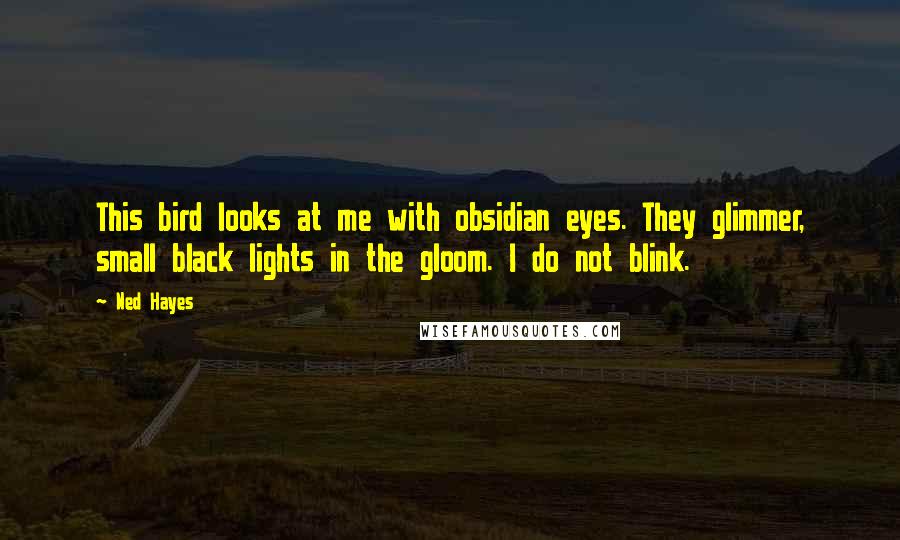 Ned Hayes Quotes: This bird looks at me with obsidian eyes. They glimmer, small black lights in the gloom. I do not blink.