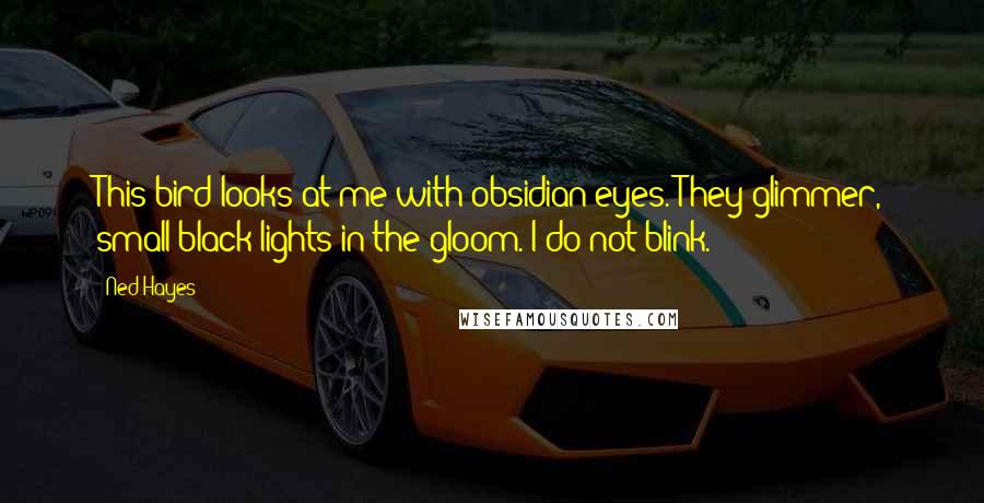 Ned Hayes Quotes: This bird looks at me with obsidian eyes. They glimmer, small black lights in the gloom. I do not blink.