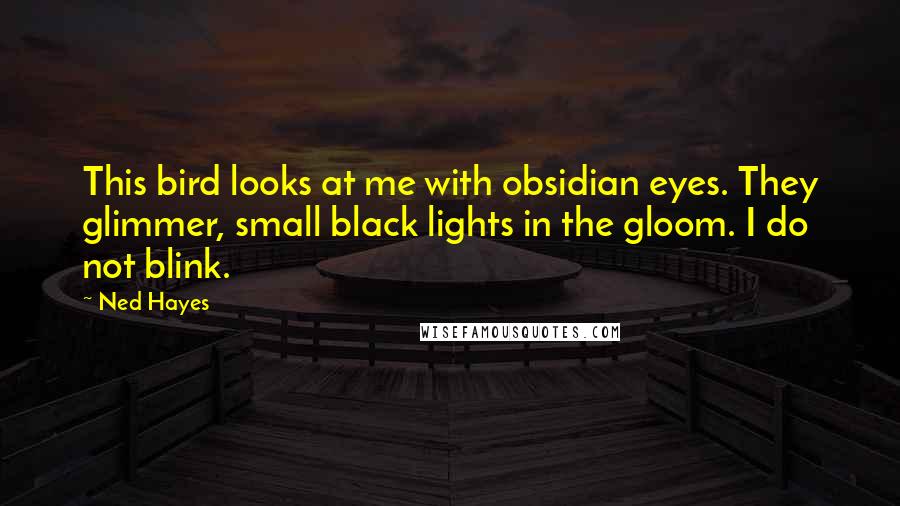 Ned Hayes Quotes: This bird looks at me with obsidian eyes. They glimmer, small black lights in the gloom. I do not blink.