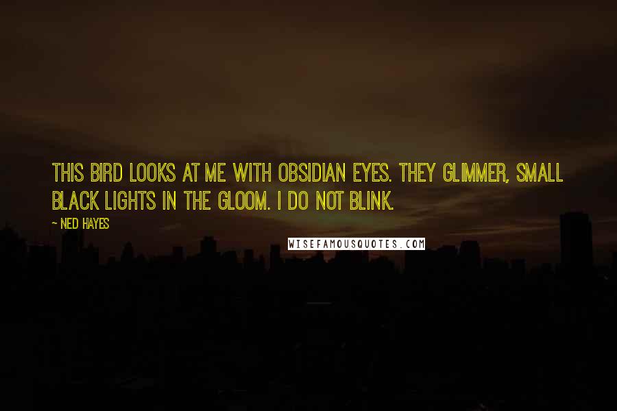 Ned Hayes Quotes: This bird looks at me with obsidian eyes. They glimmer, small black lights in the gloom. I do not blink.