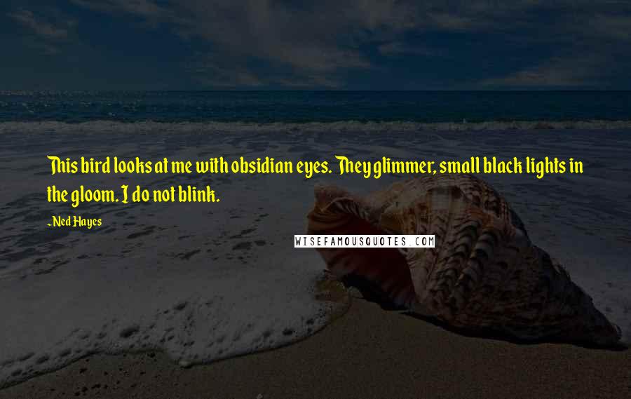 Ned Hayes Quotes: This bird looks at me with obsidian eyes. They glimmer, small black lights in the gloom. I do not blink.