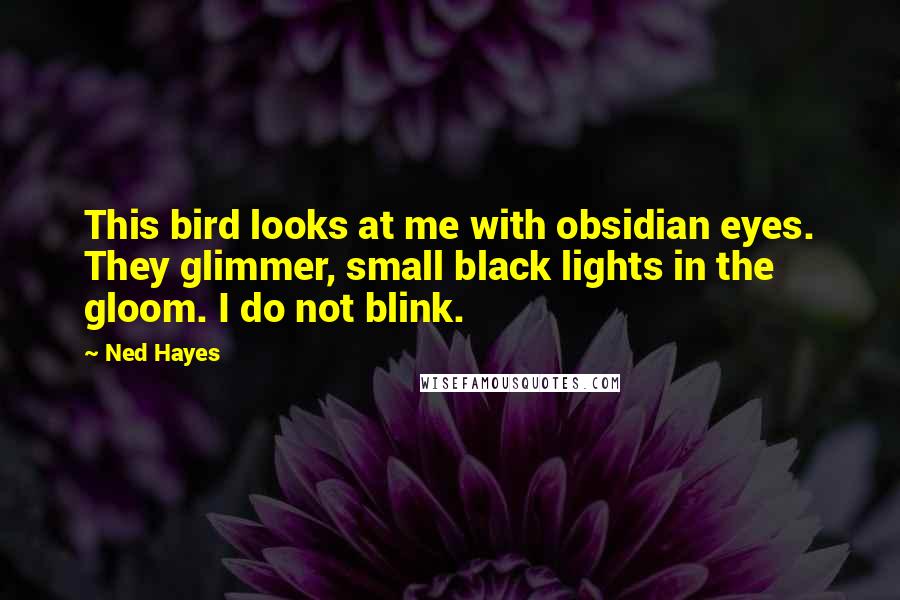 Ned Hayes Quotes: This bird looks at me with obsidian eyes. They glimmer, small black lights in the gloom. I do not blink.