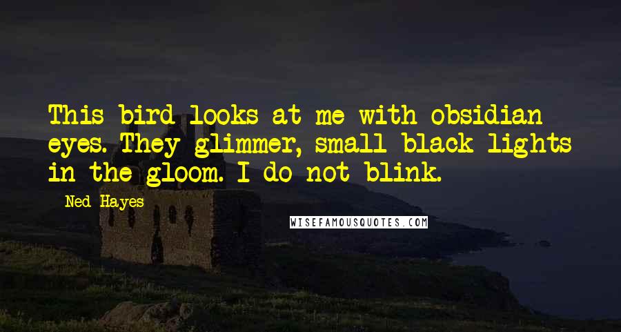 Ned Hayes Quotes: This bird looks at me with obsidian eyes. They glimmer, small black lights in the gloom. I do not blink.