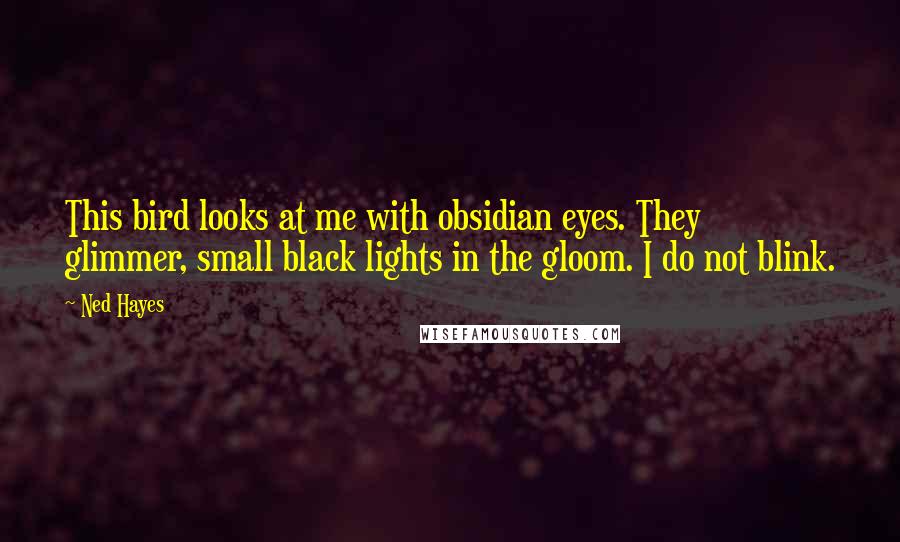 Ned Hayes Quotes: This bird looks at me with obsidian eyes. They glimmer, small black lights in the gloom. I do not blink.