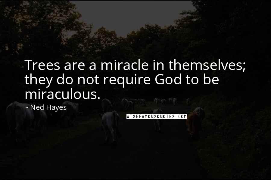 Ned Hayes Quotes: Trees are a miracle in themselves; they do not require God to be miraculous.