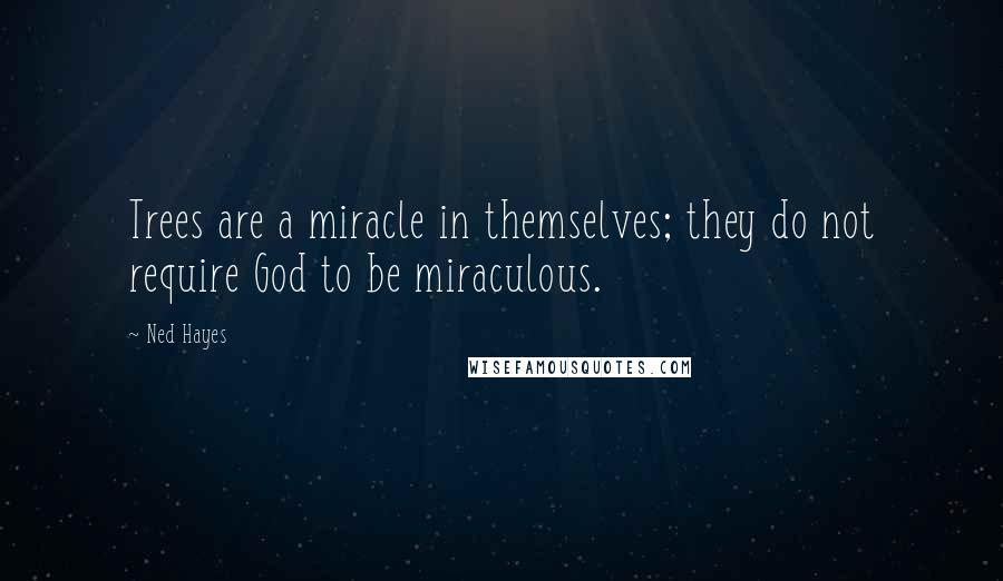 Ned Hayes Quotes: Trees are a miracle in themselves; they do not require God to be miraculous.