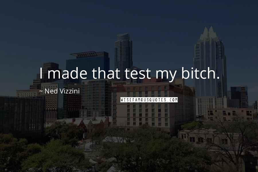 Ned Vizzini Quotes: I made that test my bitch.