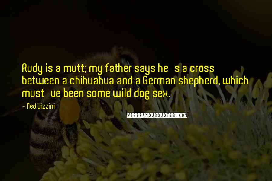 Ned Vizzini Quotes: Rudy is a mutt; my father says he's a cross between a chihuahua and a German shepherd, which must've been some wild dog sex.