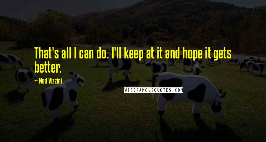 Ned Vizzini Quotes: That's all I can do. I'll keep at it and hope it gets better.