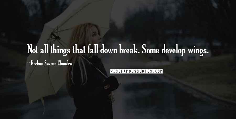 Neelam Saxena Chandra Quotes: Not all things that fall down break. Some develop wings.