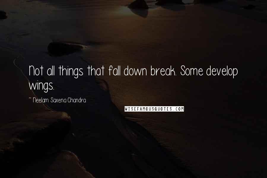 Neelam Saxena Chandra Quotes: Not all things that fall down break. Some develop wings.