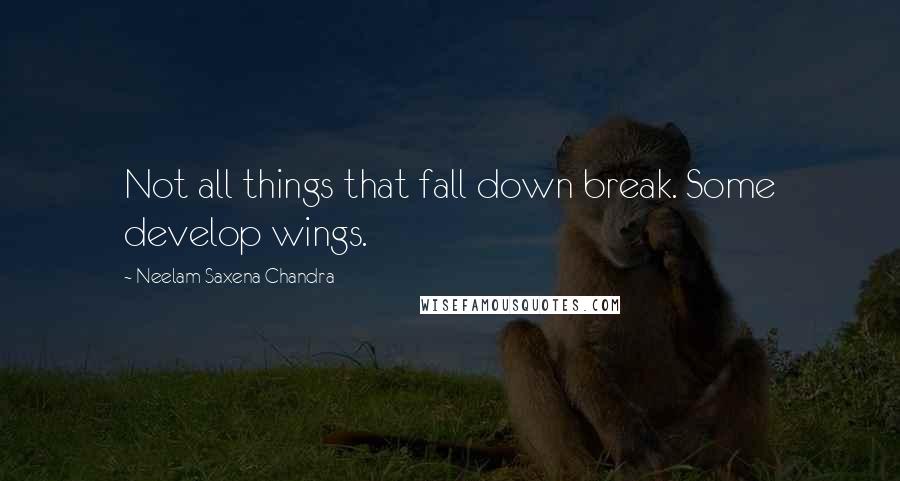 Neelam Saxena Chandra Quotes: Not all things that fall down break. Some develop wings.