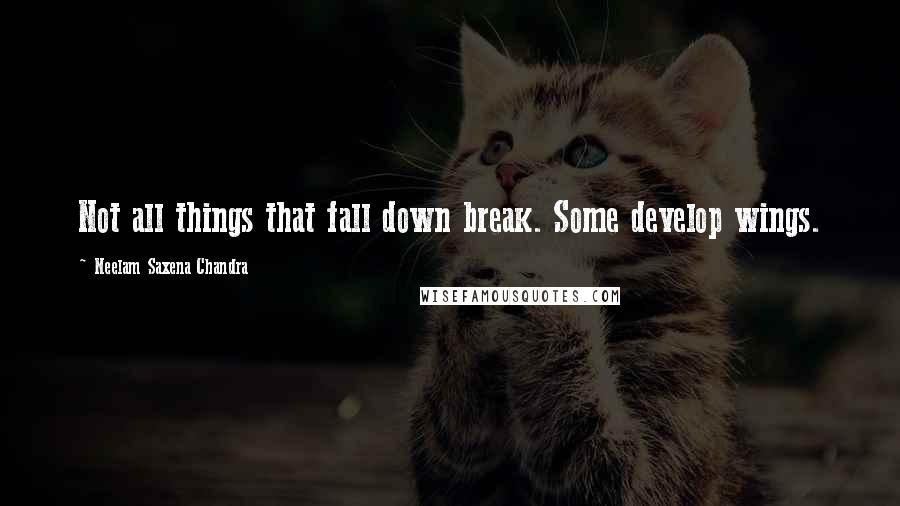 Neelam Saxena Chandra Quotes: Not all things that fall down break. Some develop wings.