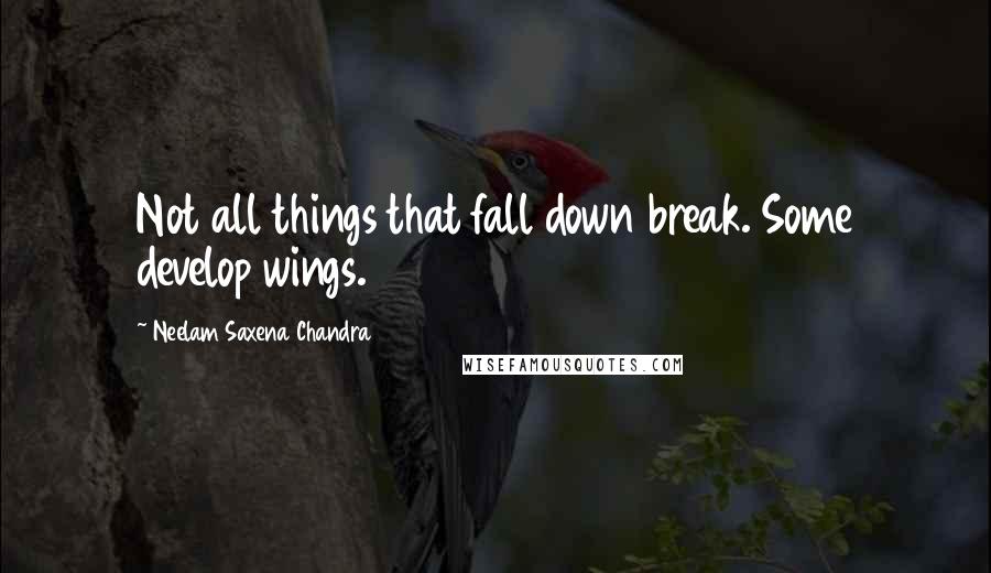 Neelam Saxena Chandra Quotes: Not all things that fall down break. Some develop wings.