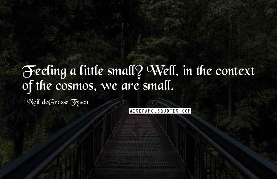 Neil DeGrasse Tyson Quotes: Feeling a little small? Well, in the context of the cosmos, we are small.