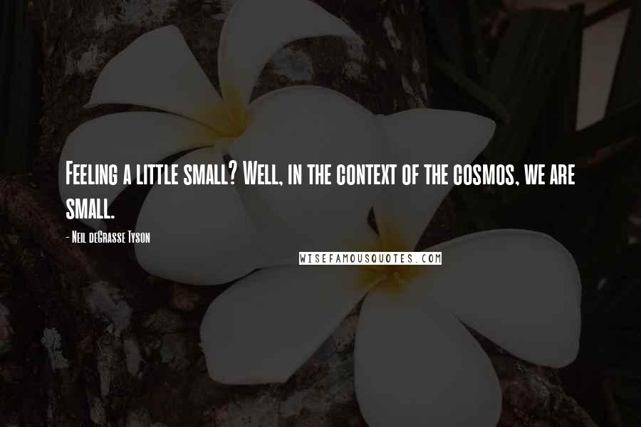 Neil DeGrasse Tyson Quotes: Feeling a little small? Well, in the context of the cosmos, we are small.