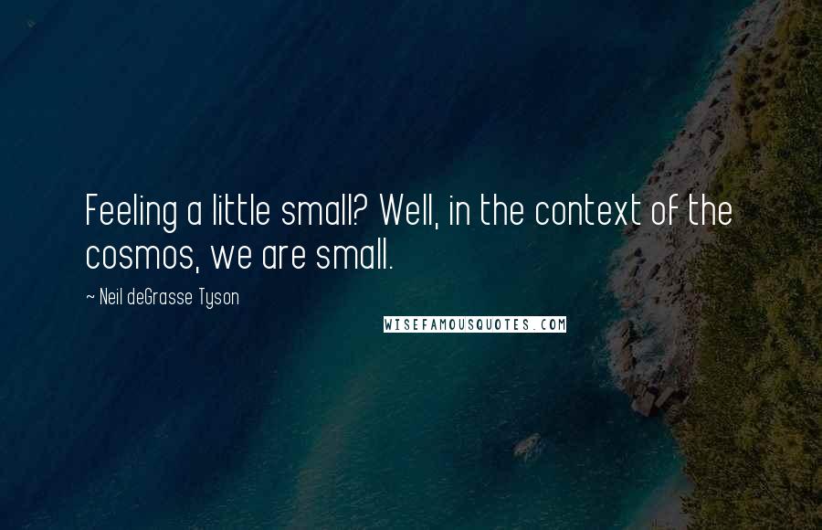 Neil DeGrasse Tyson Quotes: Feeling a little small? Well, in the context of the cosmos, we are small.