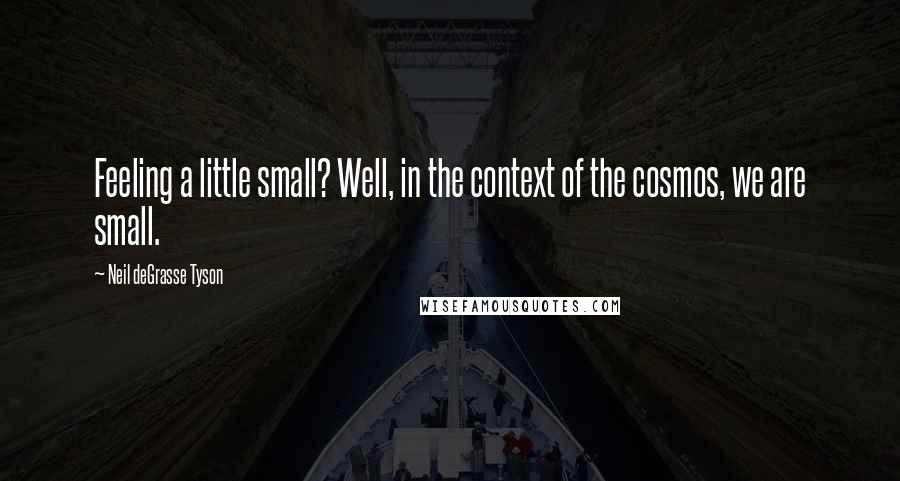 Neil DeGrasse Tyson Quotes: Feeling a little small? Well, in the context of the cosmos, we are small.