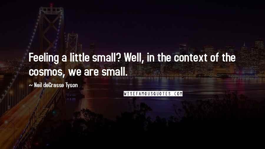 Neil DeGrasse Tyson Quotes: Feeling a little small? Well, in the context of the cosmos, we are small.