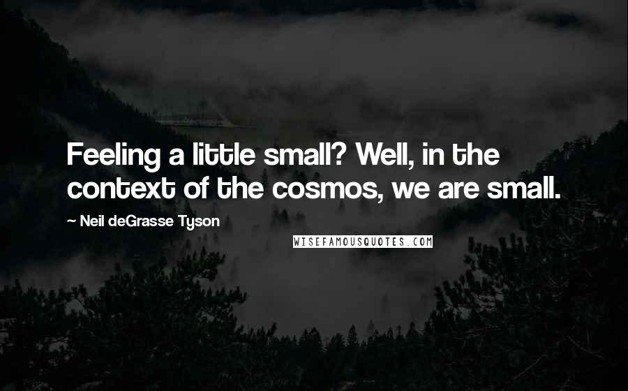 Neil DeGrasse Tyson Quotes: Feeling a little small? Well, in the context of the cosmos, we are small.