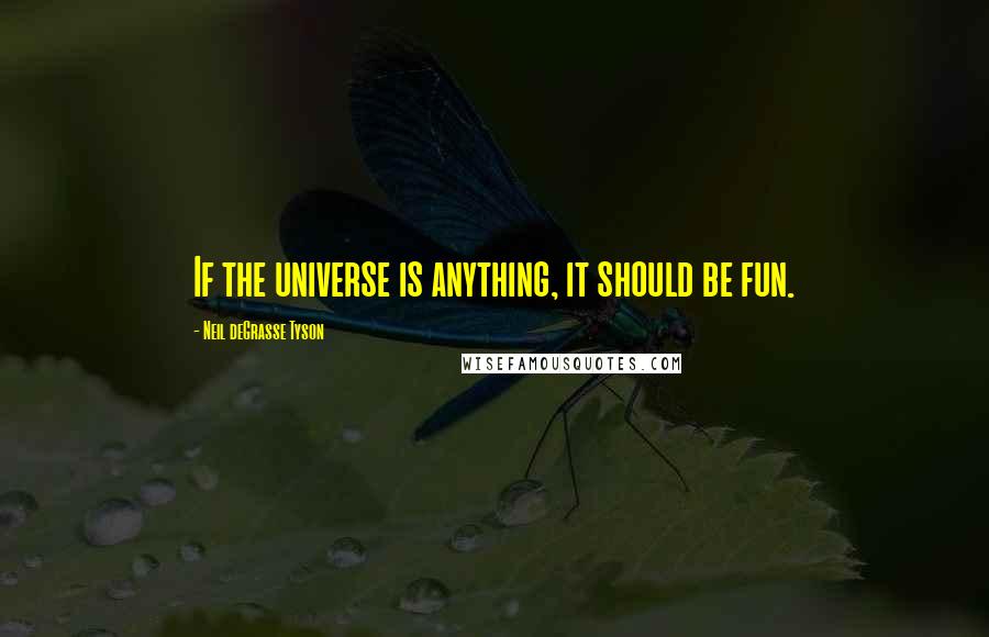 Neil DeGrasse Tyson Quotes: If the universe is anything, it should be fun.