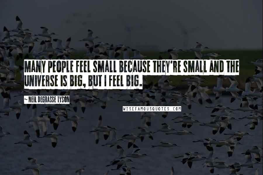 Neil DeGrasse Tyson Quotes: Many people feel small because they're small and the universe is big, but I feel big.