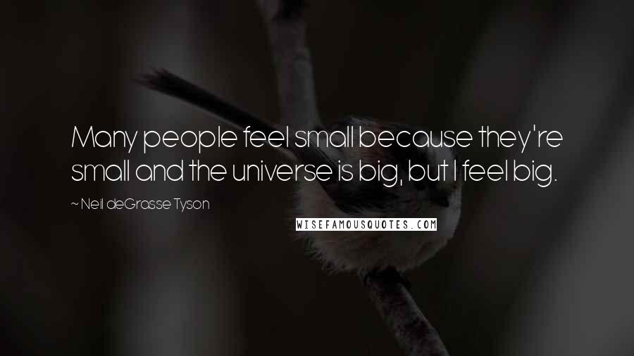 Neil DeGrasse Tyson Quotes: Many people feel small because they're small and the universe is big, but I feel big.