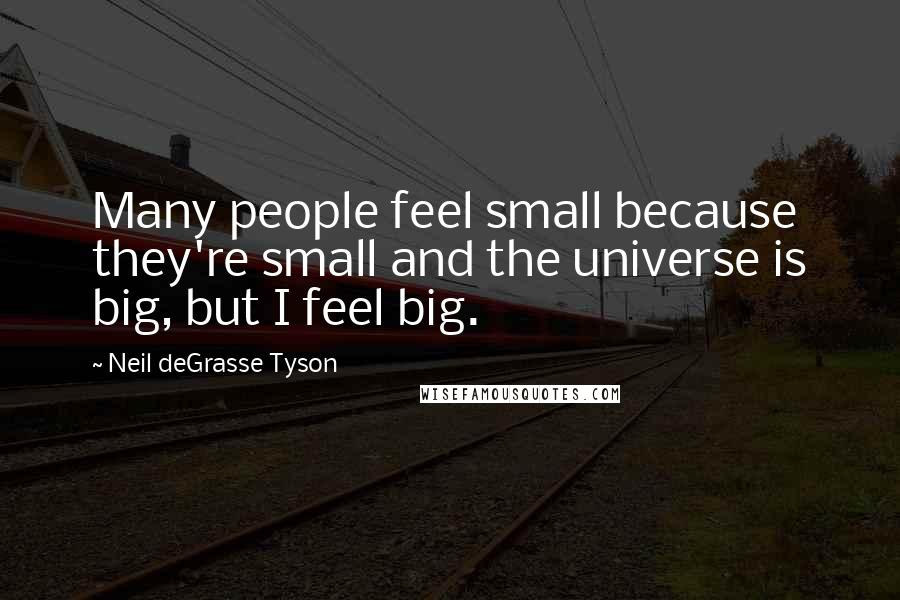 Neil DeGrasse Tyson Quotes: Many people feel small because they're small and the universe is big, but I feel big.