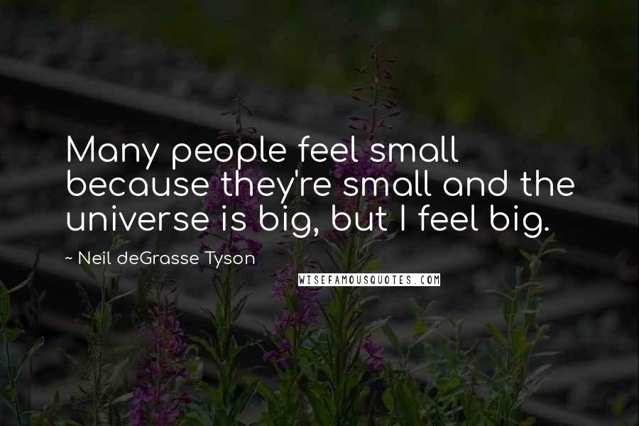 Neil DeGrasse Tyson Quotes: Many people feel small because they're small and the universe is big, but I feel big.