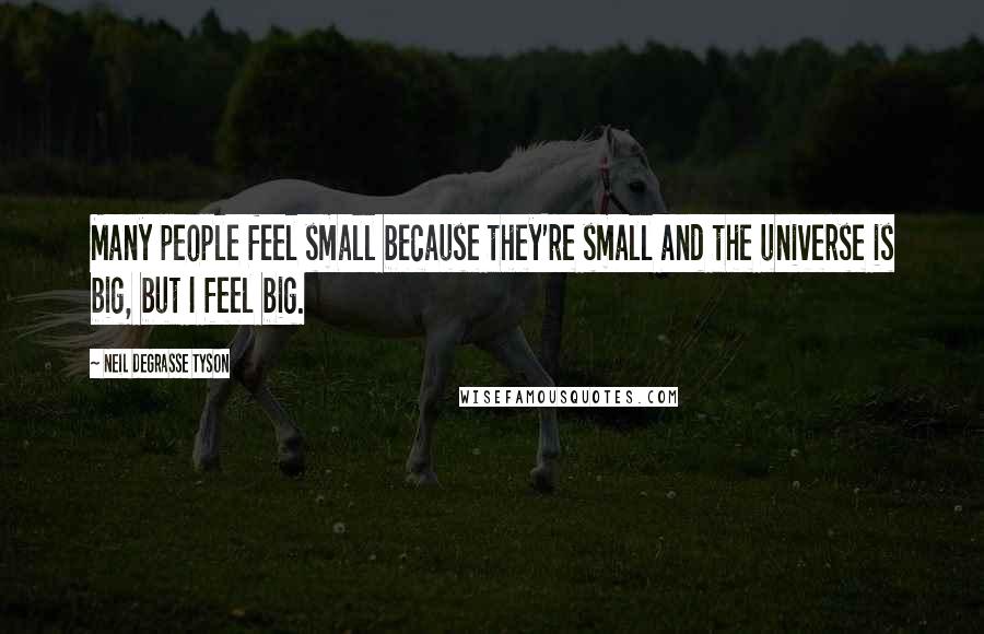 Neil DeGrasse Tyson Quotes: Many people feel small because they're small and the universe is big, but I feel big.