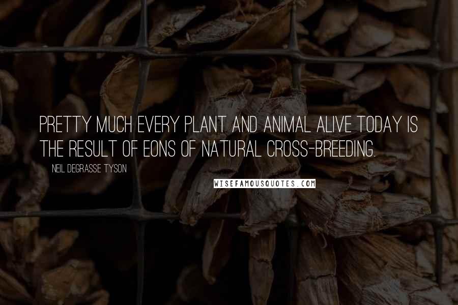 Neil DeGrasse Tyson Quotes: Pretty much every plant and animal alive today is the result of eons of natural cross-breeding.