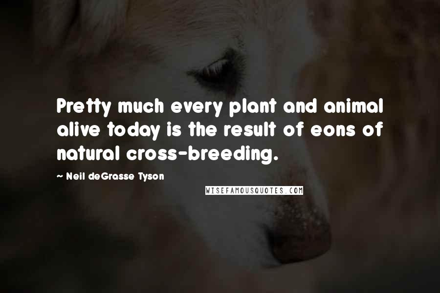 Neil DeGrasse Tyson Quotes: Pretty much every plant and animal alive today is the result of eons of natural cross-breeding.