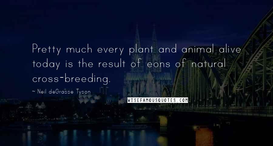 Neil DeGrasse Tyson Quotes: Pretty much every plant and animal alive today is the result of eons of natural cross-breeding.