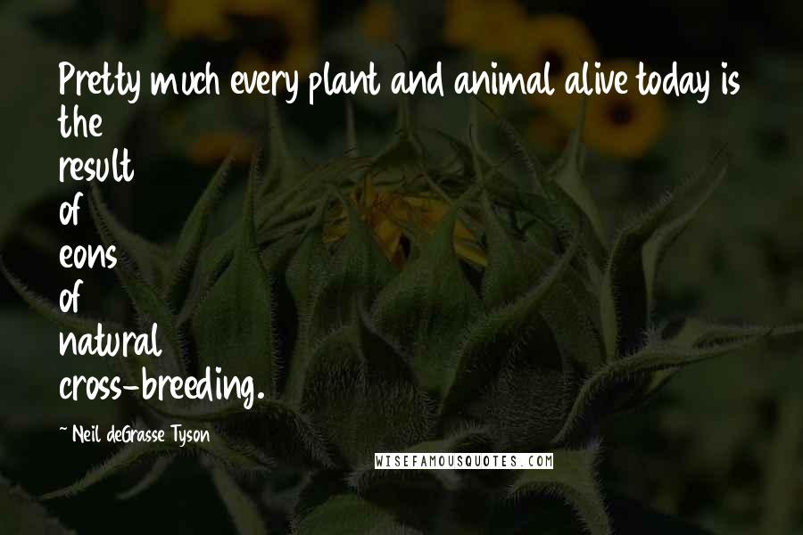 Neil DeGrasse Tyson Quotes: Pretty much every plant and animal alive today is the result of eons of natural cross-breeding.