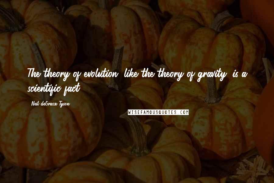 Neil DeGrasse Tyson Quotes: The theory of evolution, like the theory of gravity, is a scientific fact.