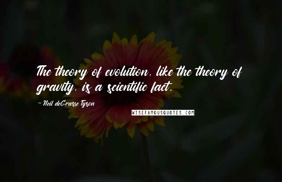 Neil DeGrasse Tyson Quotes: The theory of evolution, like the theory of gravity, is a scientific fact.