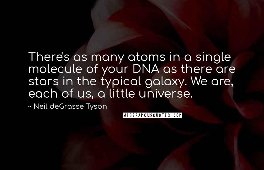 Neil DeGrasse Tyson Quotes: There's as many atoms in a single molecule of your DNA as there are stars in the typical galaxy. We are, each of us, a little universe.