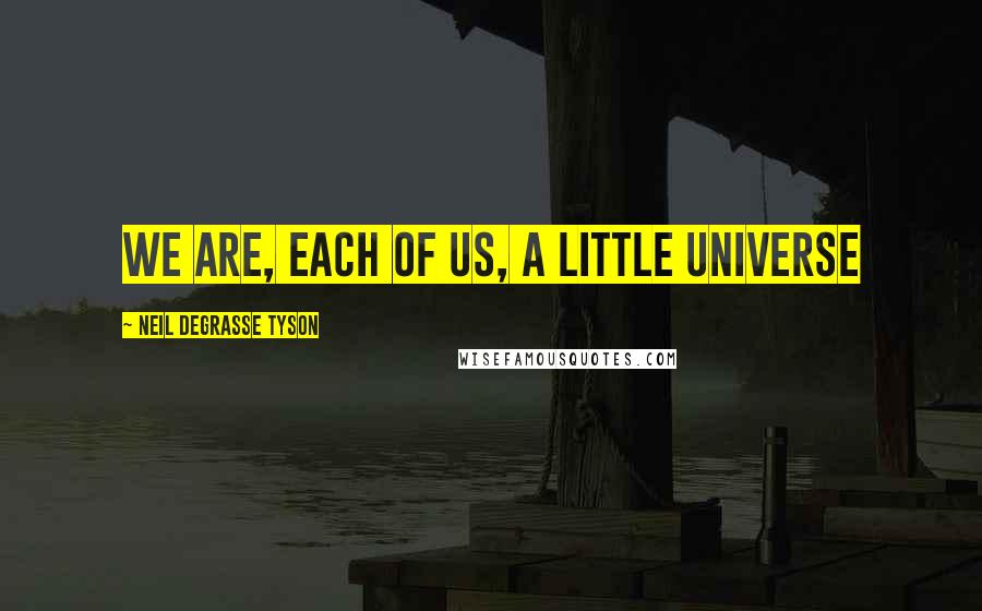 Neil DeGrasse Tyson Quotes: We are, each of us, a little Universe