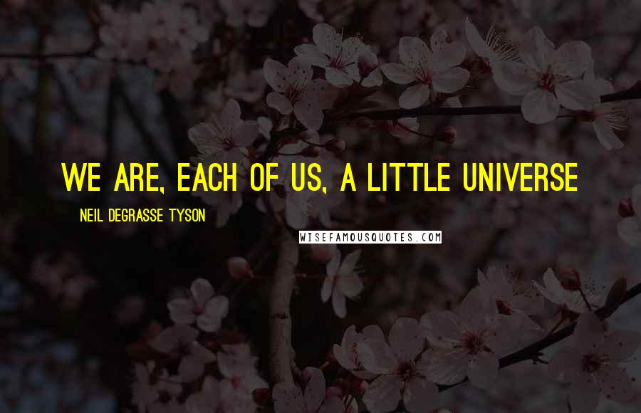 Neil DeGrasse Tyson Quotes: We are, each of us, a little Universe