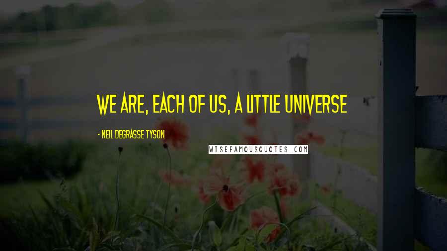 Neil DeGrasse Tyson Quotes: We are, each of us, a little Universe