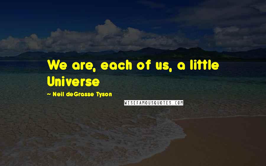 Neil DeGrasse Tyson Quotes: We are, each of us, a little Universe