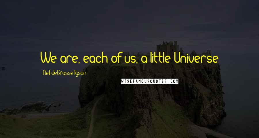 Neil DeGrasse Tyson Quotes: We are, each of us, a little Universe