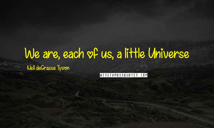 Neil DeGrasse Tyson Quotes: We are, each of us, a little Universe