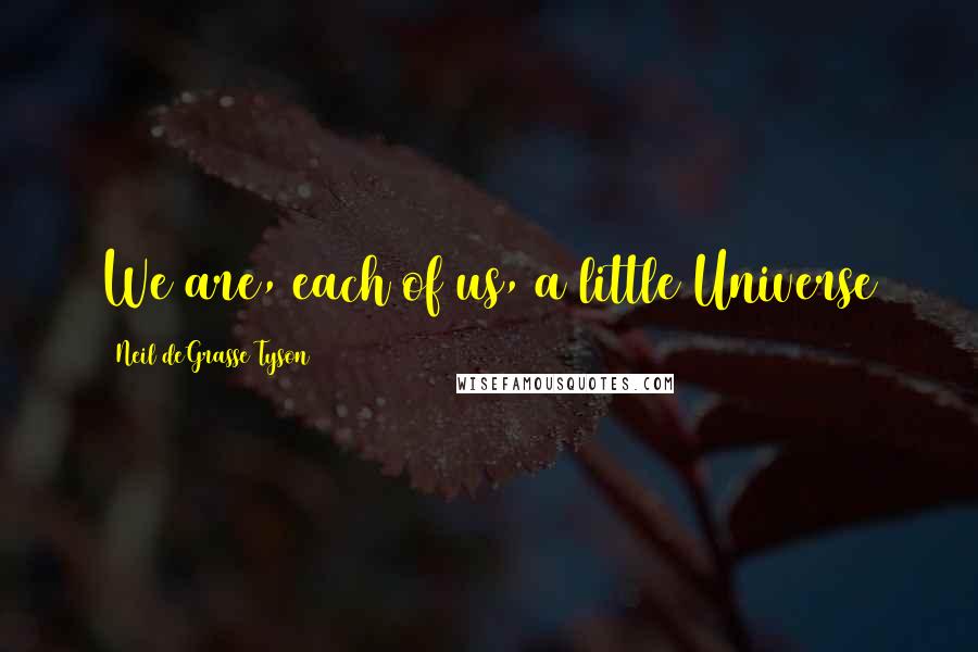 Neil DeGrasse Tyson Quotes: We are, each of us, a little Universe