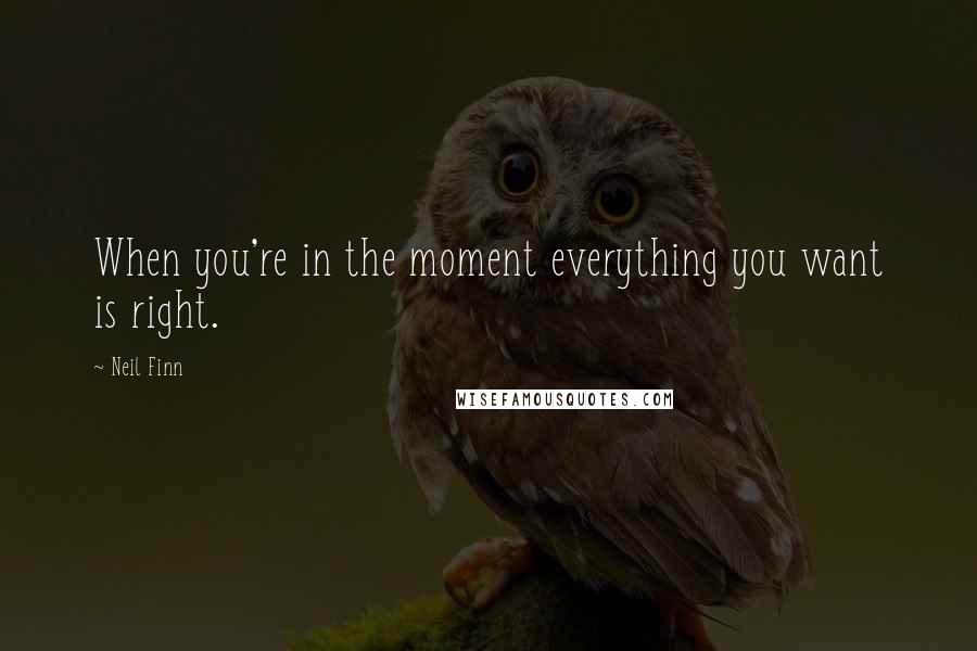Neil Finn Quotes: When you're in the moment everything you want is right.
