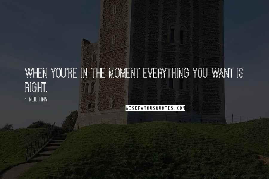 Neil Finn Quotes: When you're in the moment everything you want is right.