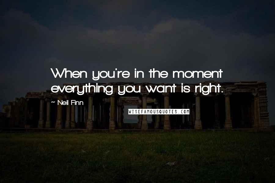 Neil Finn Quotes: When you're in the moment everything you want is right.