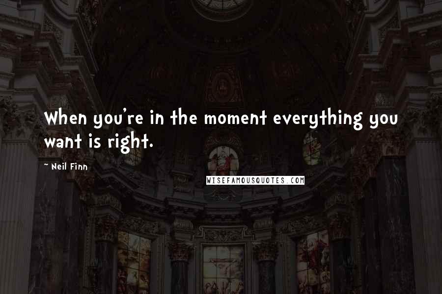 Neil Finn Quotes: When you're in the moment everything you want is right.