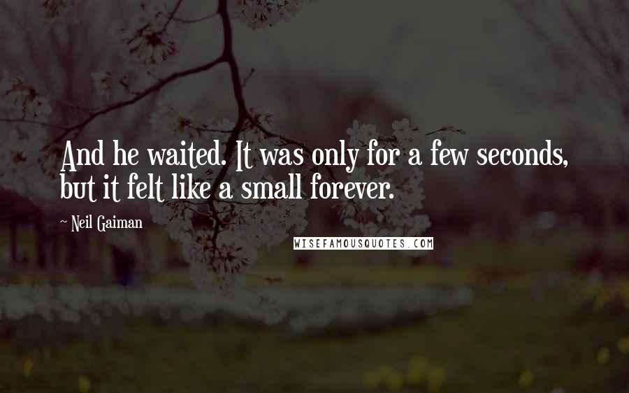 Neil Gaiman Quotes: And he waited. It was only for a few seconds, but it felt like a small forever.