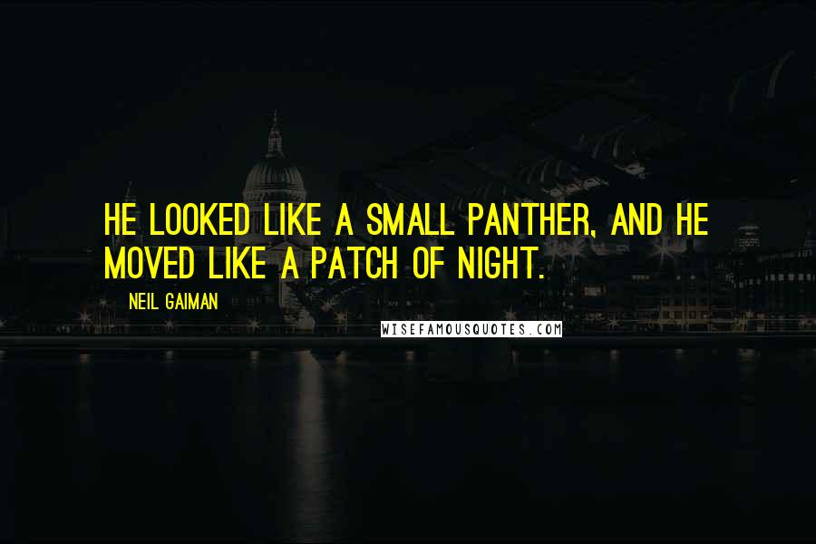 Neil Gaiman Quotes: He looked like a small panther, and he moved like a patch of night.